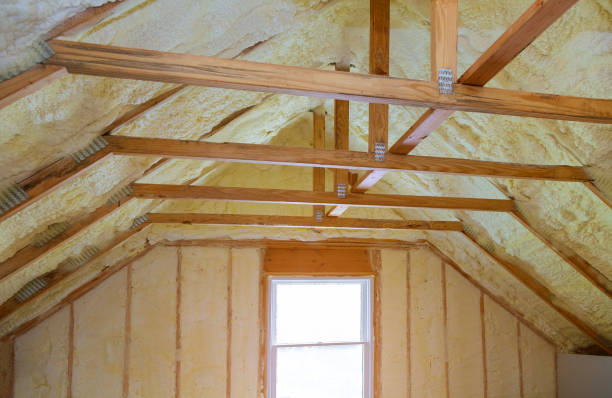 Best Fiberglass Insulation  in Lacoochee, FL