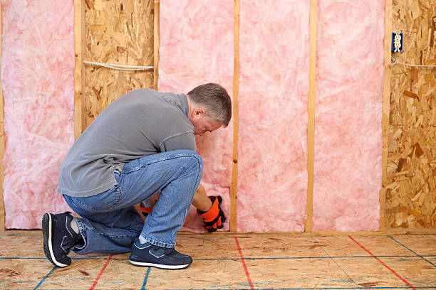 Best Garage Insulation Installation  in Lacoochee, FL